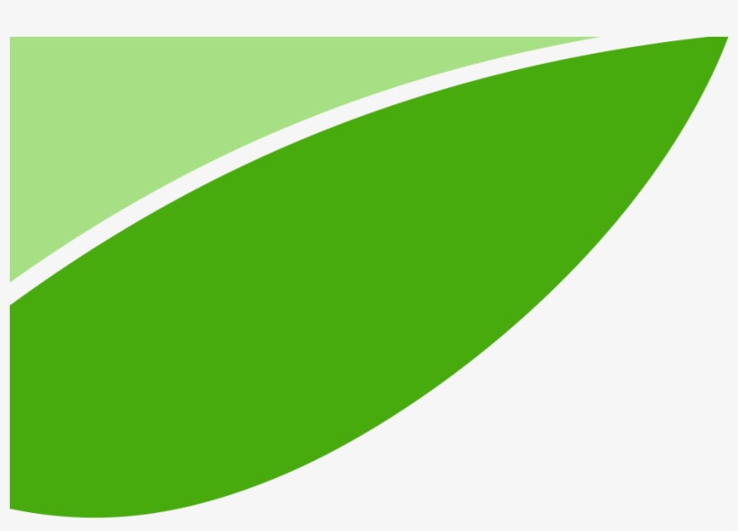 Leaf, transparent png #1038655