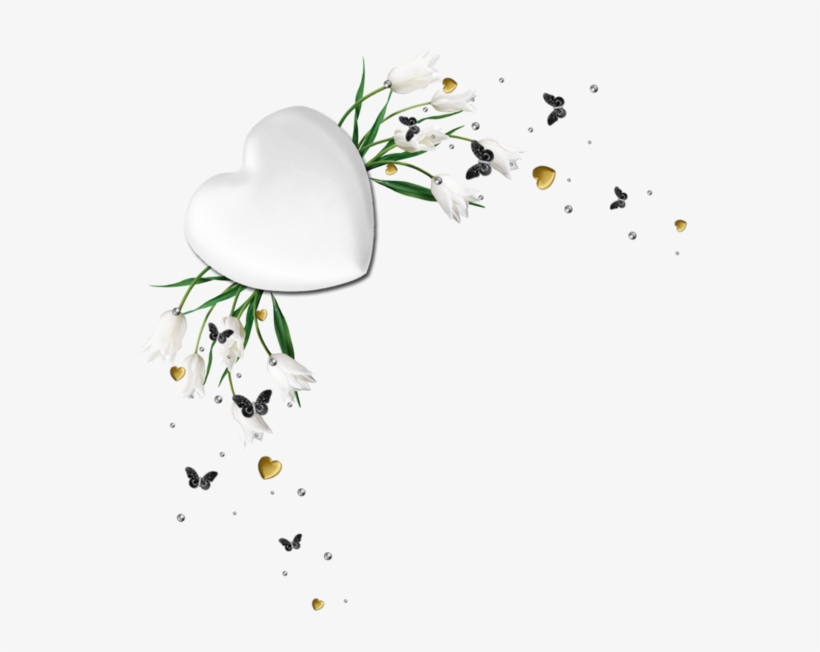 Tubes Coins - White Tulips, transparent png #1038656