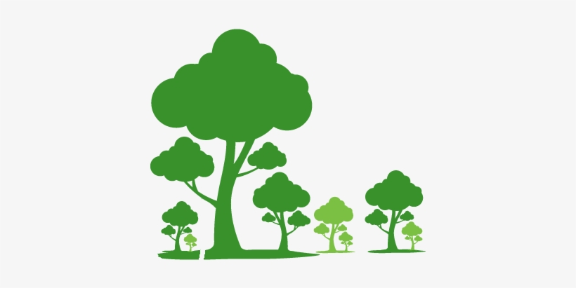 Wall Sticker Tree Silhouette, transparent png #1038958