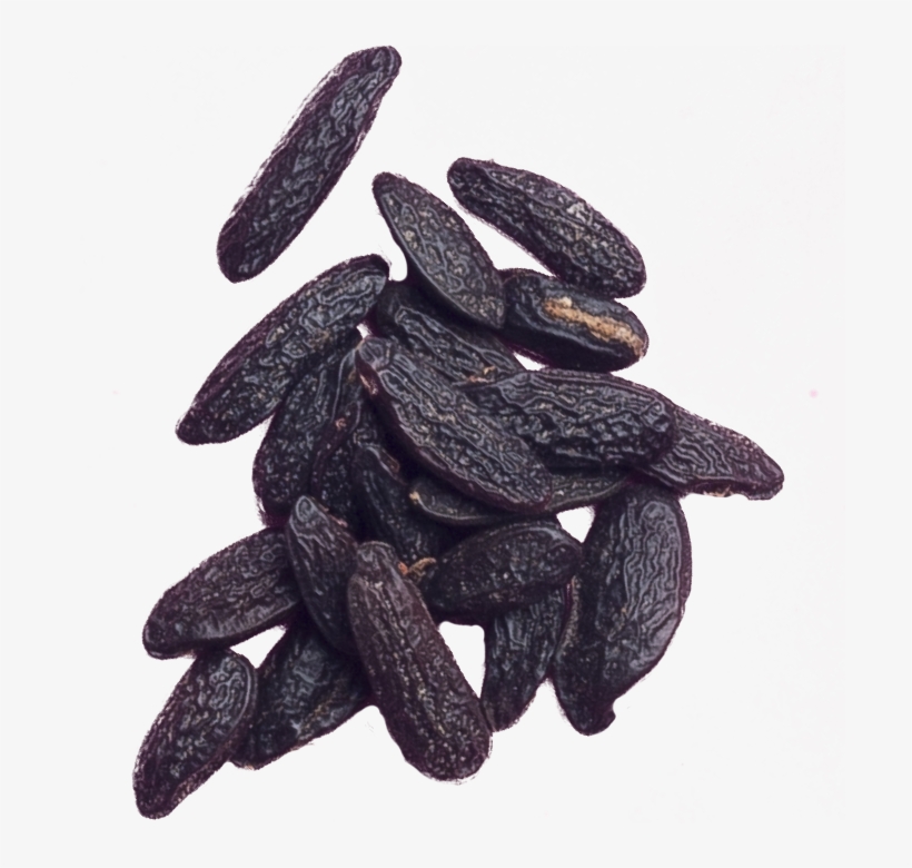 Tonka Bean, transparent png #1038963