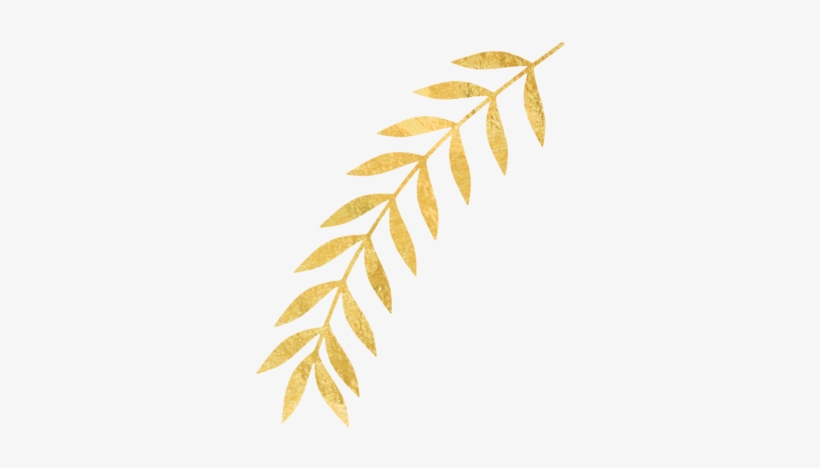 Gold Leaves Png, transparent png #1038996