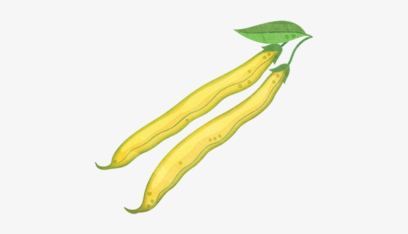 Yellow Beans, transparent png #1039129