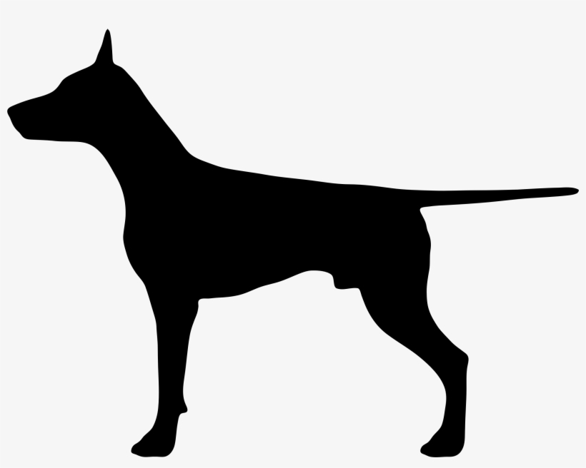 Doberman - Silueta De Perro Doberman, transparent png #1039984
