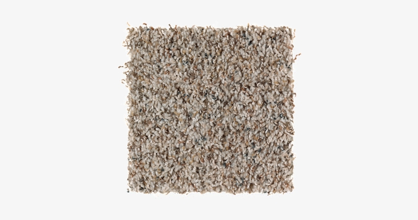 Design Potrait- Sea Shells - Mohawk Sand Dollar Carpet, transparent png #1040113