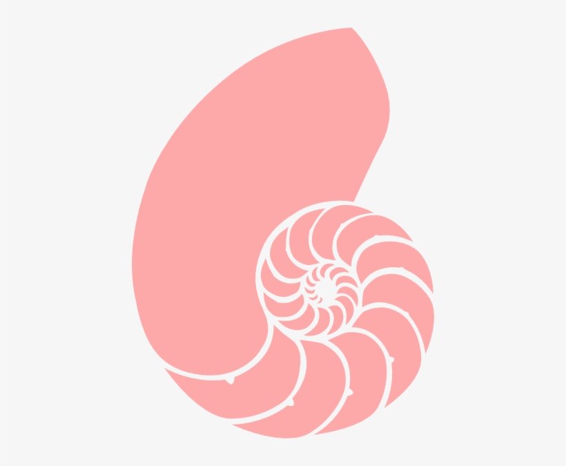 Pink Nautilus Clip Art At Clker Com - Spiral Shell Clip Art, transparent png #1040343