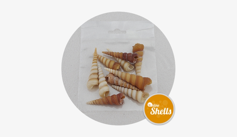 Art & Craft Pack - Art, transparent png #1040617