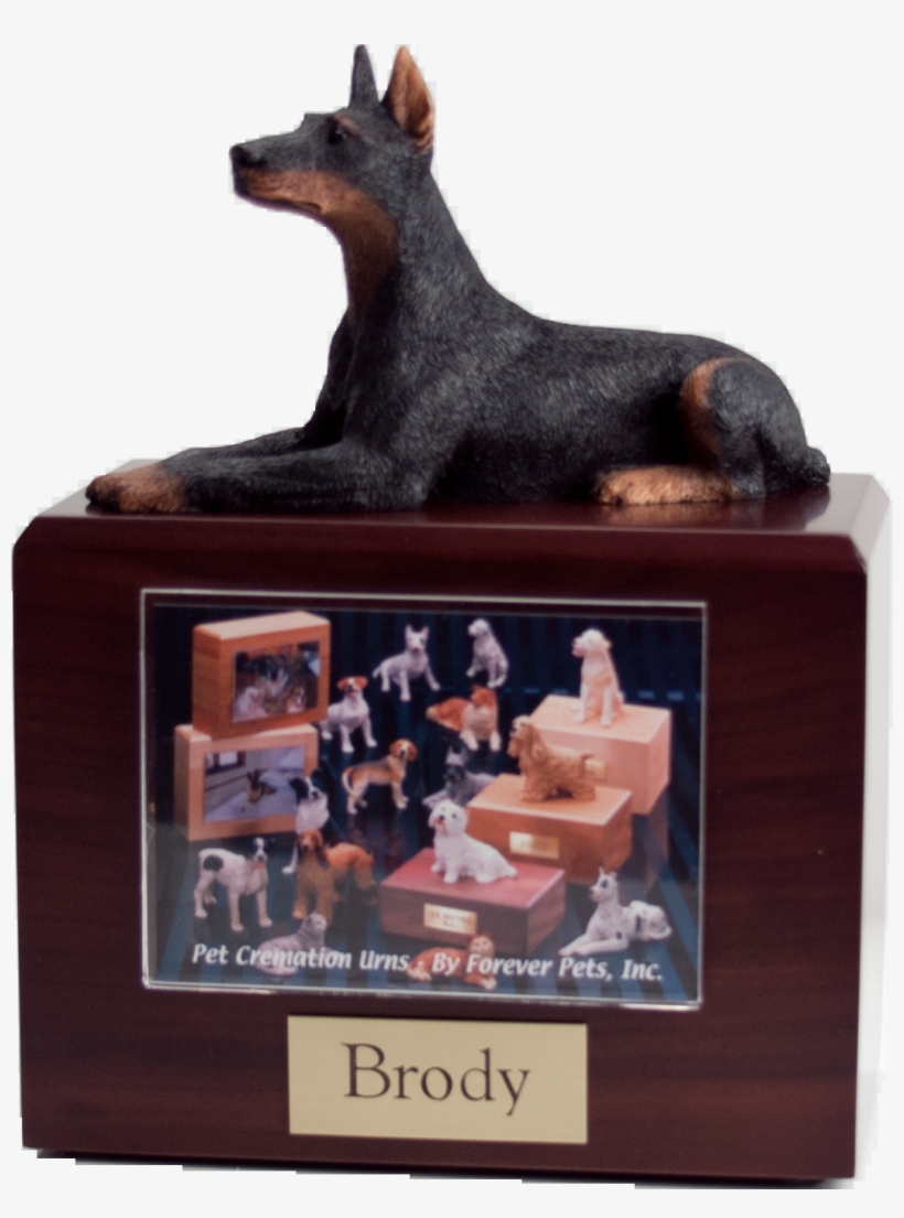 Doberman-laying - Dog Figurines, transparent png #1040759