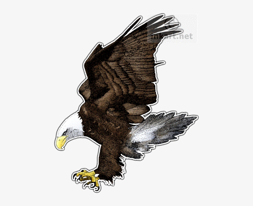 American Bald Eagle Decal - American Bald Eagle Throw Blanket, transparent png #1041103