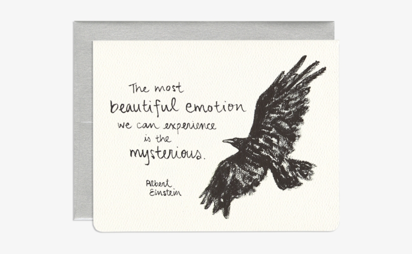 Elegant Animal Greeting Card - Greeting Card, transparent png #1041152