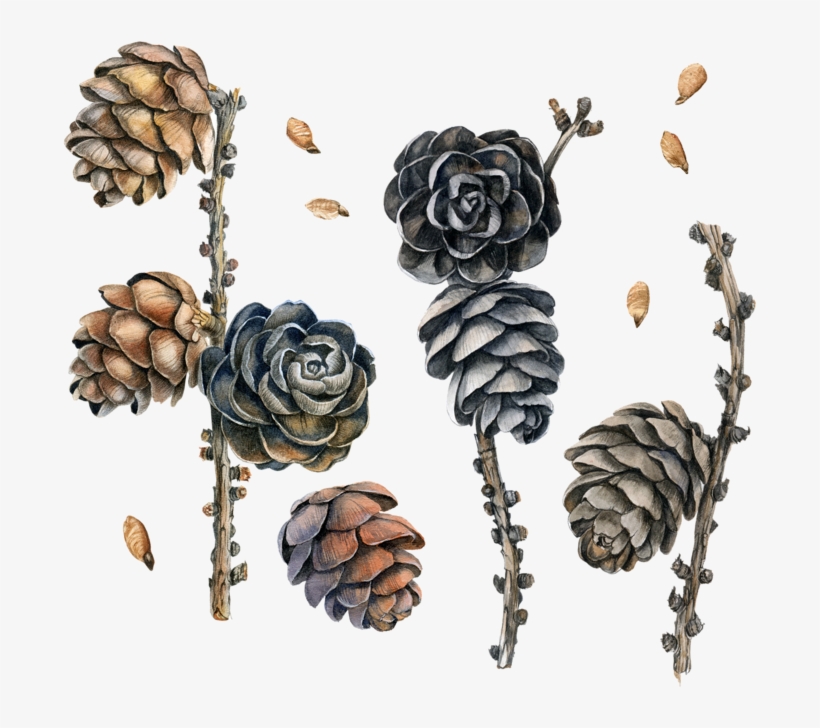 Фото, Автор ✿lili@ ✿ На Яндекс - Textile, transparent png #1041157