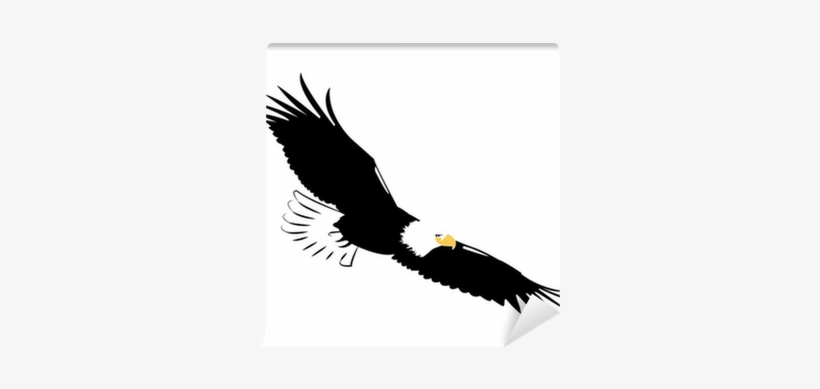 Bald Eagle, transparent png #1041551