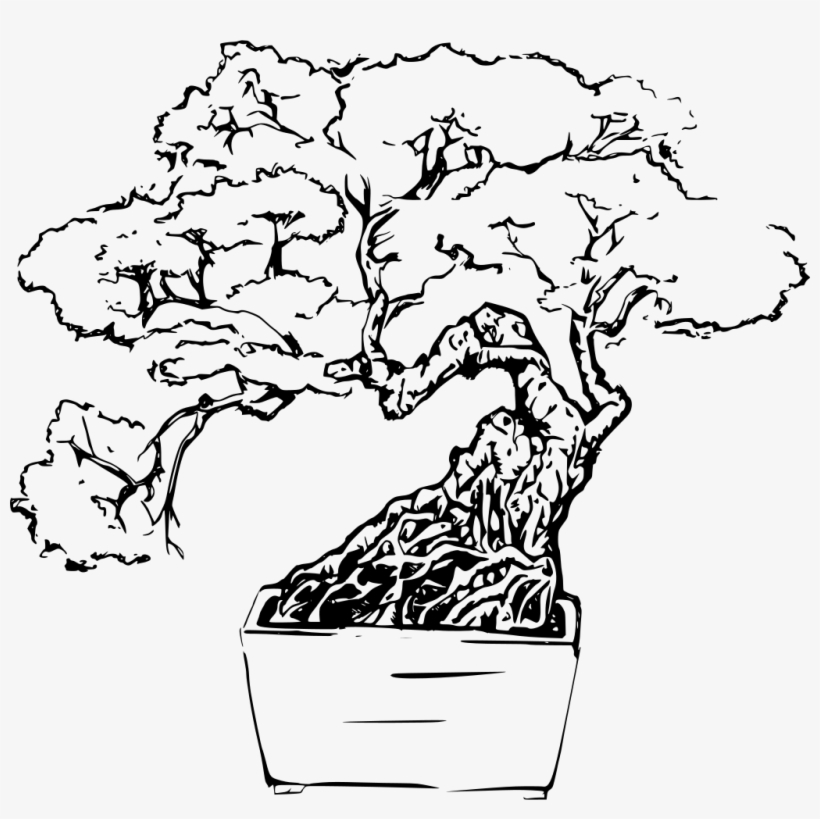 Download Png - Tree Line Art Png, transparent png #1041805