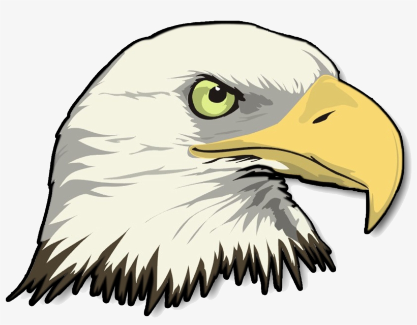 Png Stock Eagle Head Transparent Image - Bald Eagle Head Clip Art, transparent png #1041846