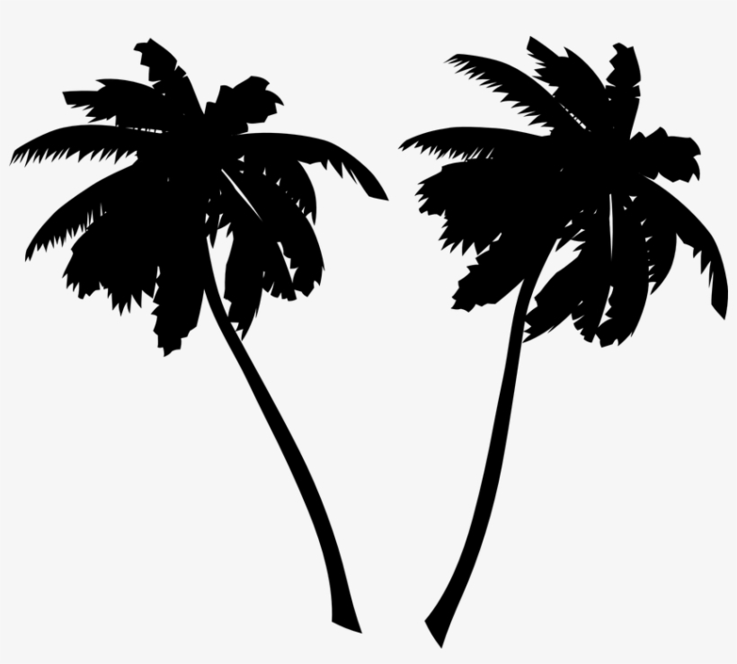 Palm Tree Vector Art Free - Palm Tree Black And White, transparent png #1041886