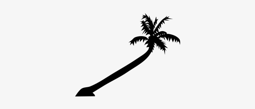 Palm Tree Clipart Png For Web, transparent png #1041972
