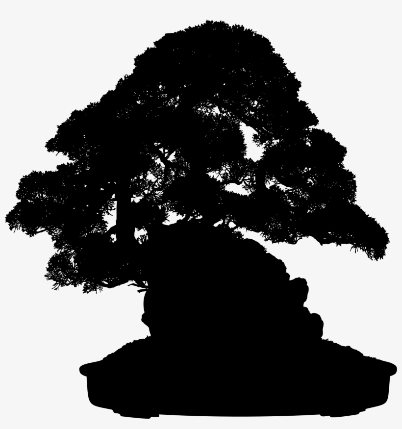 Indoor Bonsai Tree Light Weeping Fig - Free Bonsai Tree Silhouette Png, transparent png #1042109