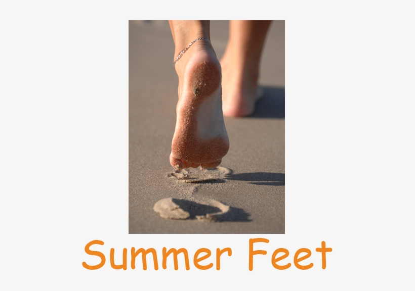 Those Lazy, Hazy, Crazy Days Of Summer Are Soon Approaching - Fall At Your Feet Again, transparent png #1042110