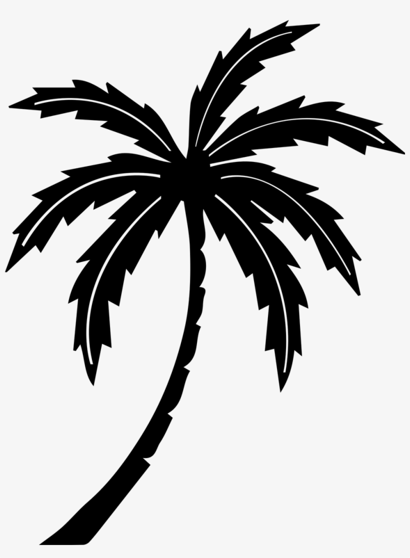 Free Stock Palm Tree Tropic Free Graphics Illustrations - Black And White Palm Tree, transparent png #1042328