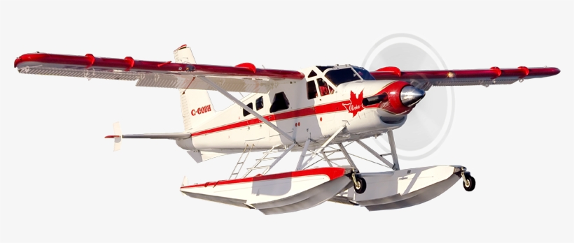 Dhc-2 Beaver - Seaplane, transparent png #1042382
