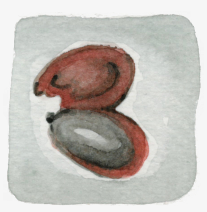 Burst Bean - Bean, transparent png #1042479