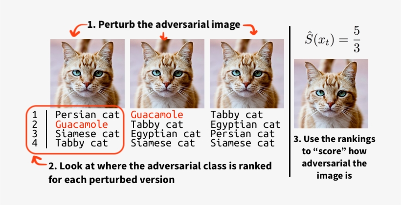 Previously, We Showed That “black-box” Machine Learning - Adversarial Attacks, transparent png #1042571