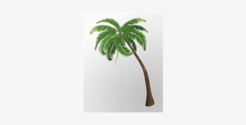 Background With A Palm Tree - Palm Trees, transparent png #1042615