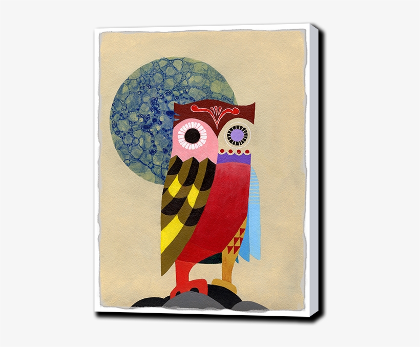 Owl, transparent png #1042921