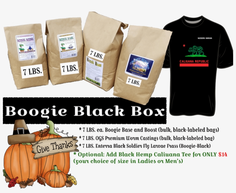 Thanksgiving Postcards (package Of 8), transparent png #1043063