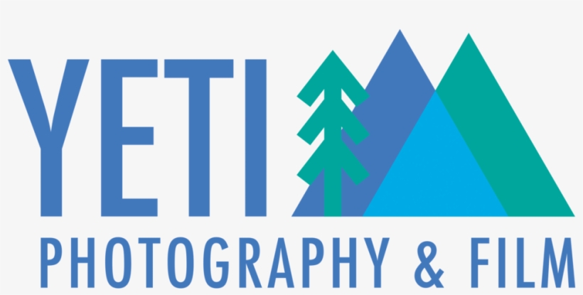 Devon Wedding Photography, transparent png #1043111