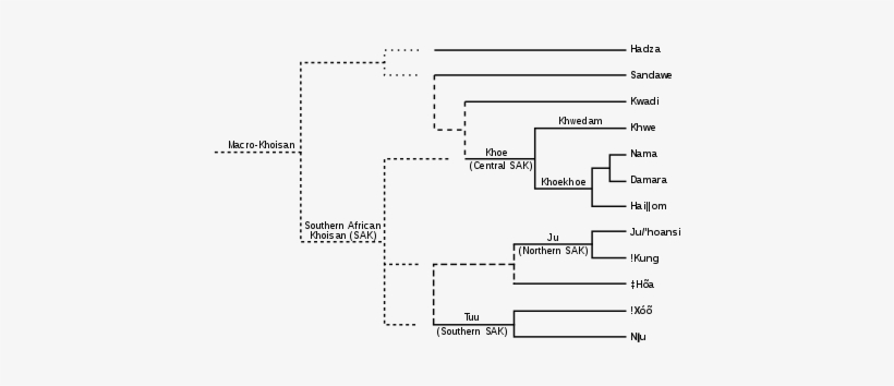 Solid Lines Indicate Well Attested Relationships, Dashed - Khoisan Languages, transparent png #1043653