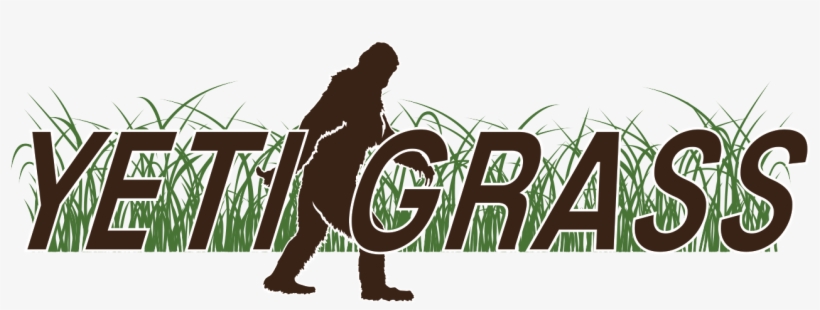 Kentucky Bluegrass Yeti™ Grass - Yeti, transparent png #1043773