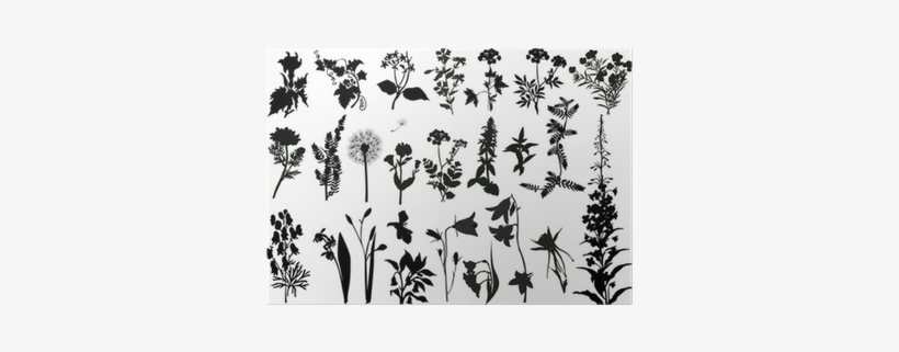 Collection Of Wild Flowers Silhouettes Poster • Pixers® - Indigoblu A5 Rubber Mounted Stamp - Victorian Garden, transparent png #1044610