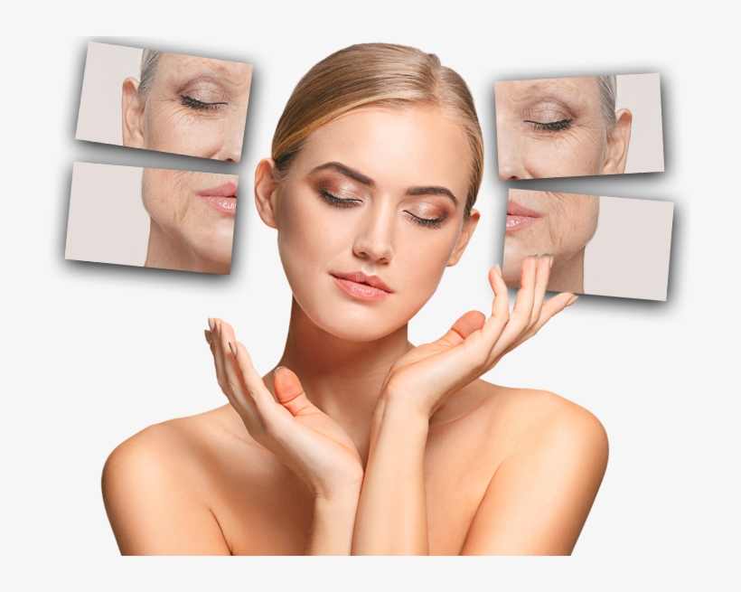 Wrinkles & Lines - Ageing, transparent png #1044733