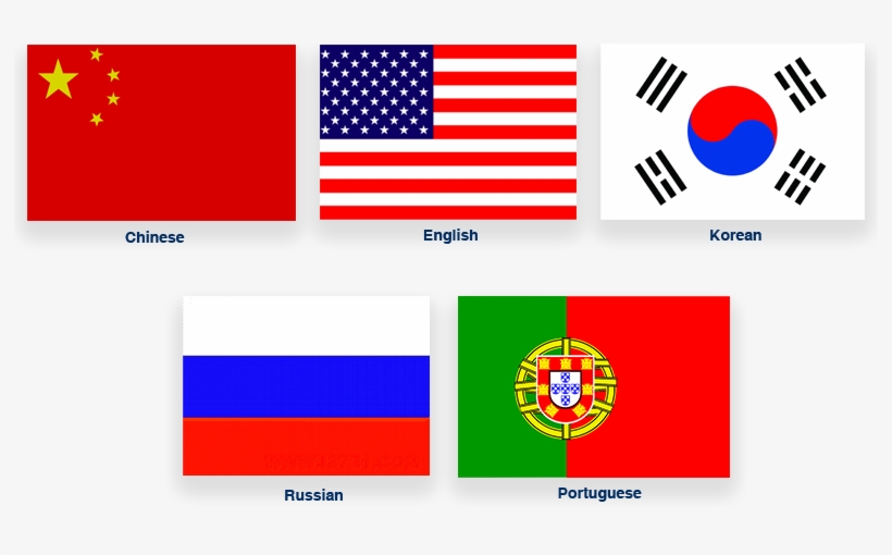 Neoden's Multilingual Support Feature Allows You To - American Flag, transparent png #1044949