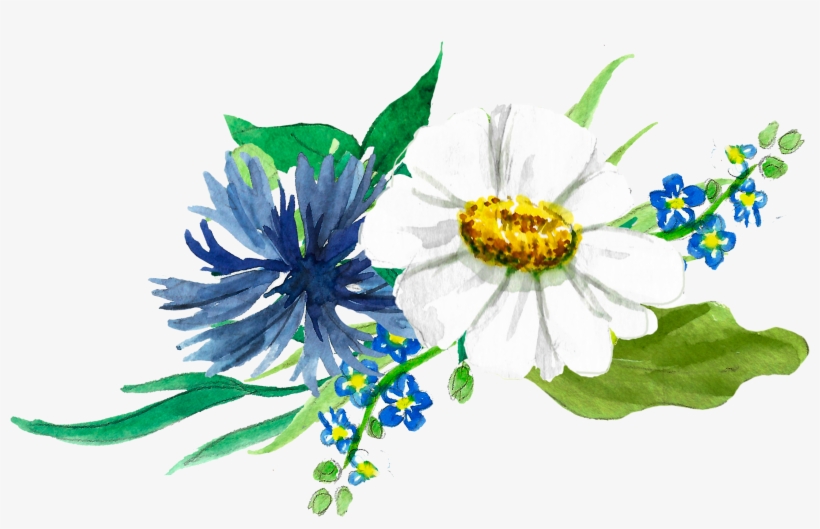 Image Library Chamomile Drawing Wreath - African Daisy, transparent png #1045080