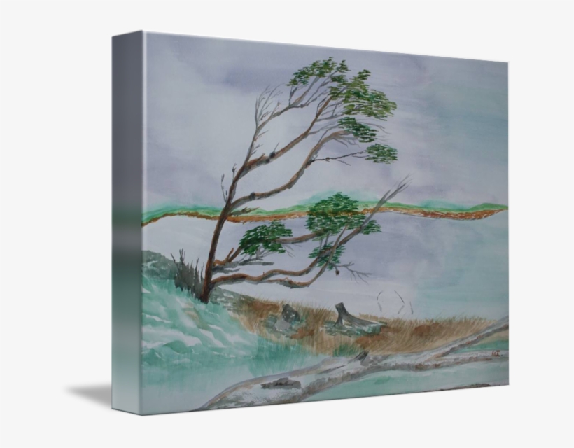 Powerful Winds Of Tierra Del Fuego Argentina, transparent png #1045333