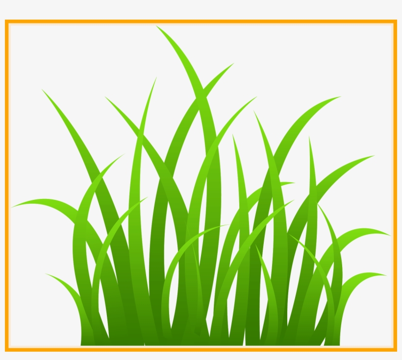 Incredible Grass Clipart Clip Art Lovestory Pic For - Grass Clip Art - Free  Transparent PNG Download - PNGkey