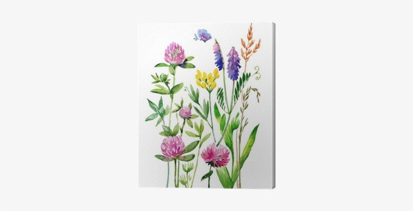 Watercolor Wildflowers And Grasses Canvas Print • Pixers® - Poszewka Na Poduszkę Vanila Lila, 50x70 Cm, transparent png #1045495