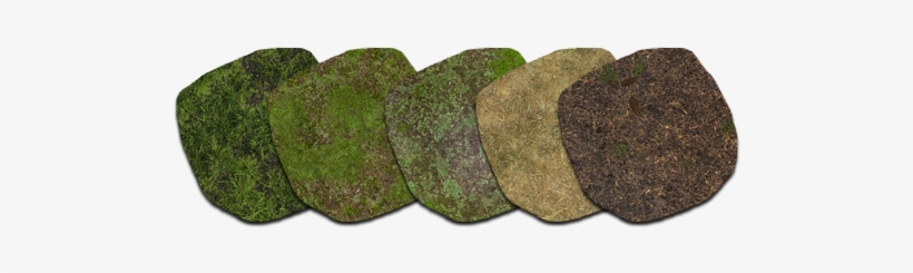 Grasses, transparent png #1045595