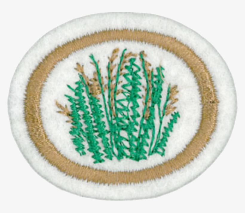 Grasses Honor - Thumbnail, transparent png #1045613