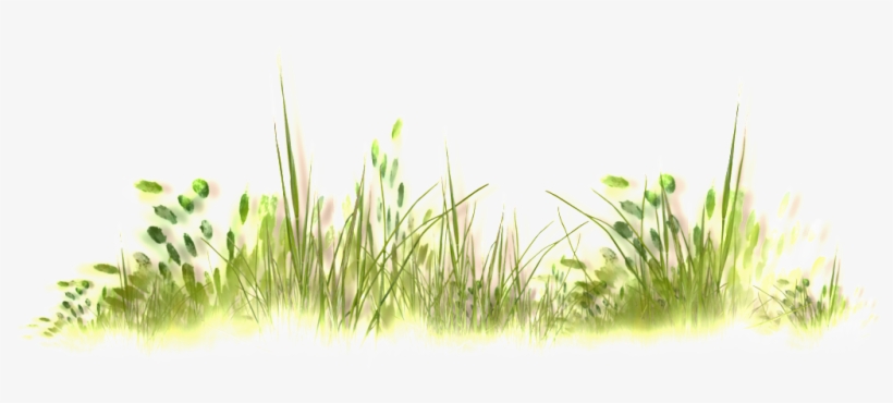 Wild Grass Thick Transparent - Portable Network Graphics, transparent png #1045747