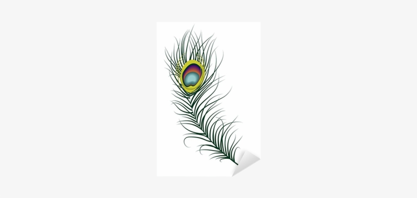 Vector Illustration Of A Peacock Feather Sticker • - Vector Graphics, transparent png #1046070