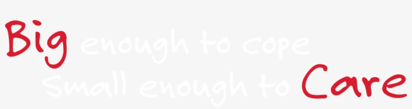 Ha'penny Press Ltd - Unique Double Roll Raffle Tickets 500 Count Assorted, transparent png #1046124