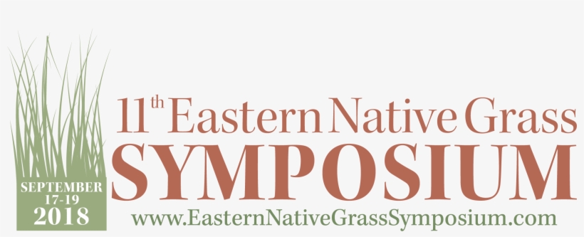 Eastern Native Grass Symposium - Solna Gymnasium, transparent png #1046335