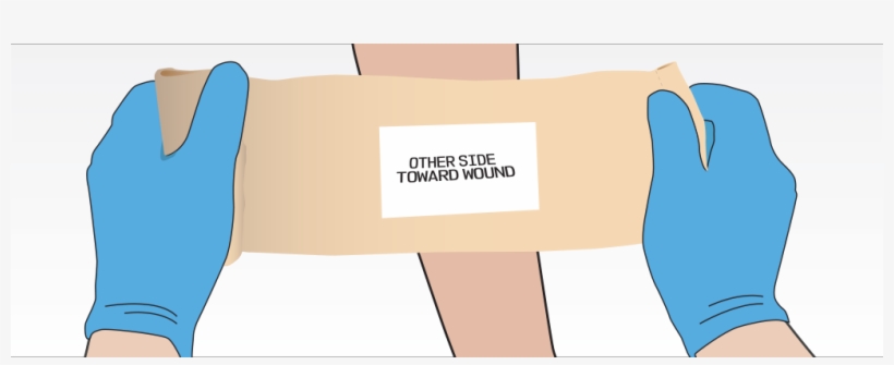 With The Other Hand, Wrap The Bandage Snugly Around - Wood, transparent png #1047360