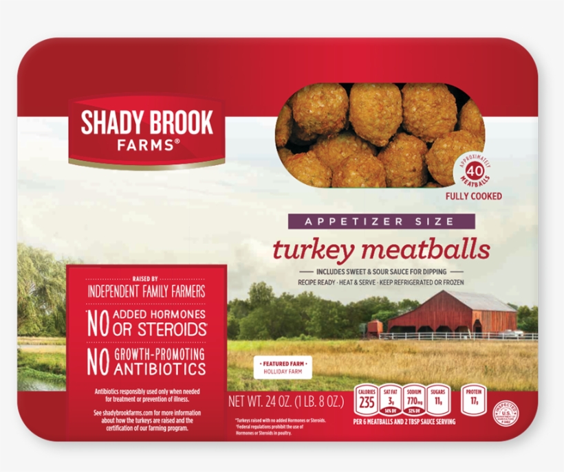 Shady Brook Farms Fresh 85% Lean Ground Turkey (1 Lb), transparent png #1047550