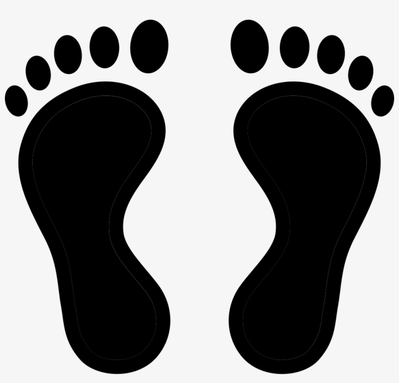 Download Footprint Baby Feet Blue And Pink Free Transparent Png Download Pngkey