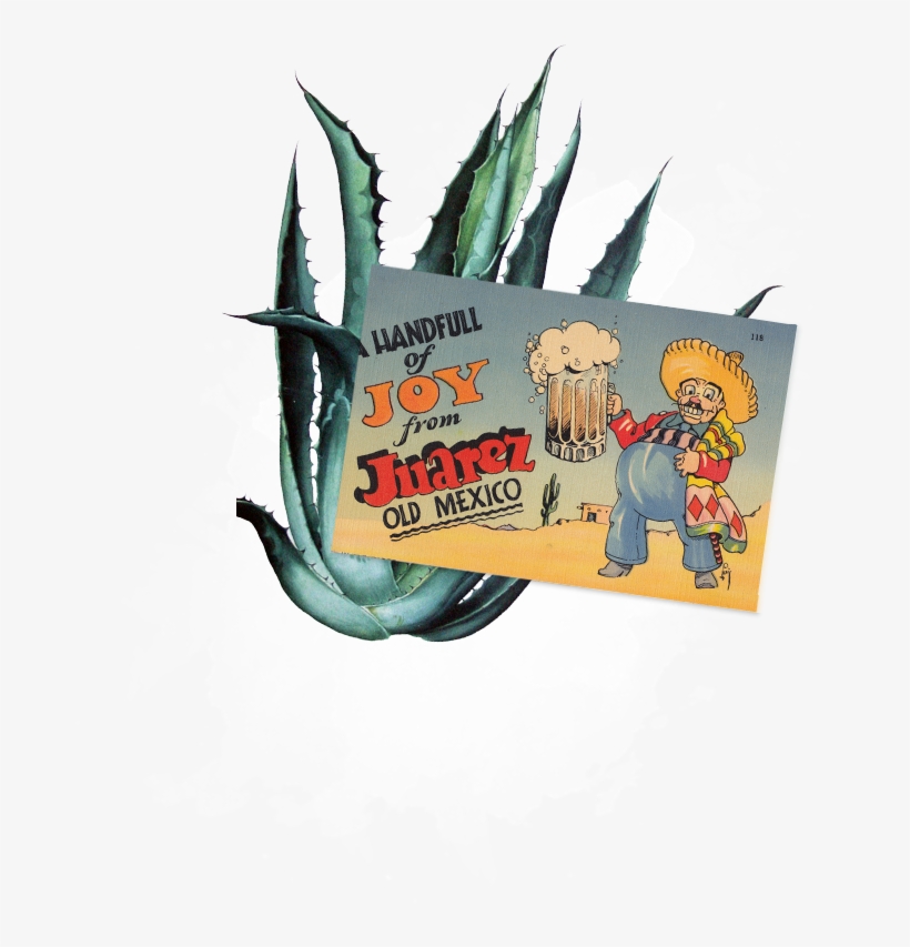 1 Bottle Of Coronita 2 Oz - 83 Oranges Canvas Prints - Agave Pattern, transparent png #1048377