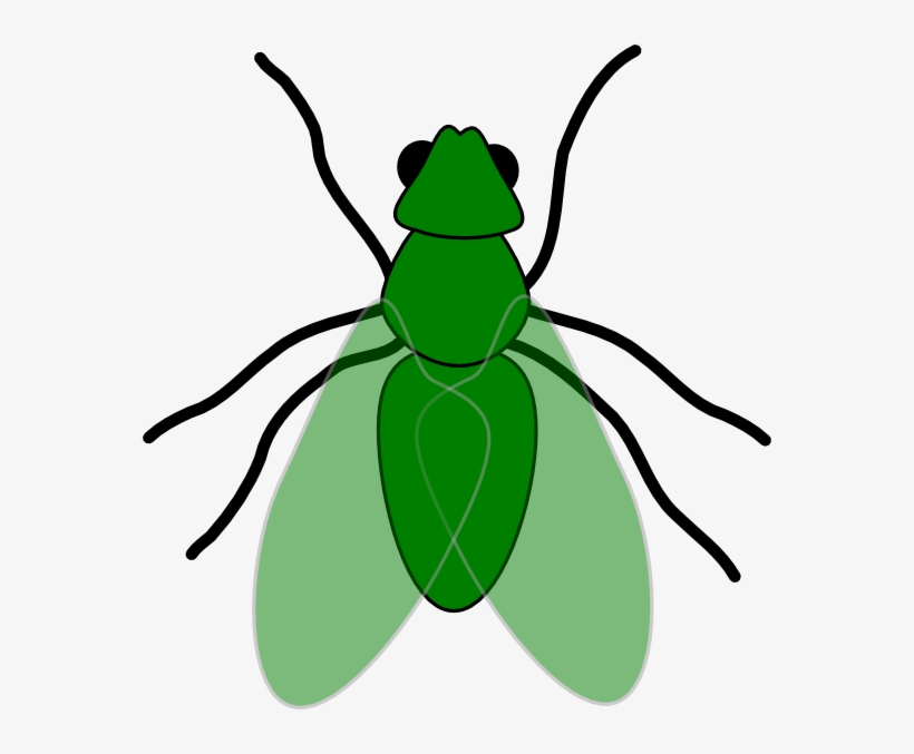 How To Set Use Green Fly Green For Web Clipart, transparent png #1048401