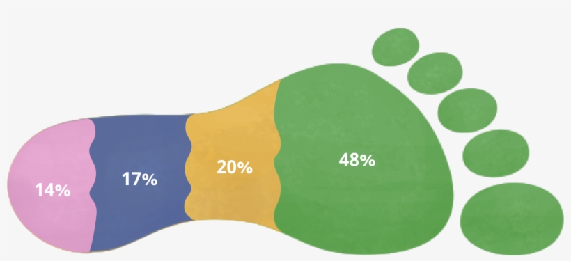 Graph Of Causes Of Vancouver's Ecological Footprint - Ecological Footprint, transparent png #1048554